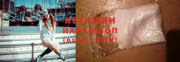 гидра Белокуриха