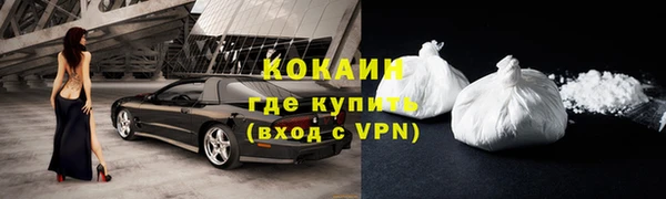 гидра Белокуриха