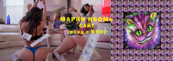 гидра Белокуриха